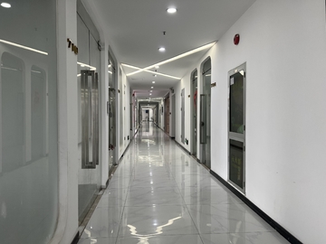 Dongguan Ruidi Technology Co., Ltd 