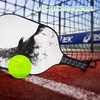 Pickleball Paddles,  PB0005 Mirs Pickleball Racket-Champion Pickleball Paddles Sale