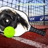 Pickleball Paddle, PB00020 Letter Nine Pickleball Racket Pickleball Racquets